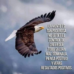 Meet your Posher, Estrella